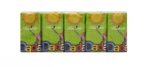Servetele nazale de hartie - Batiste igienice nazale Dada 10buc/Set