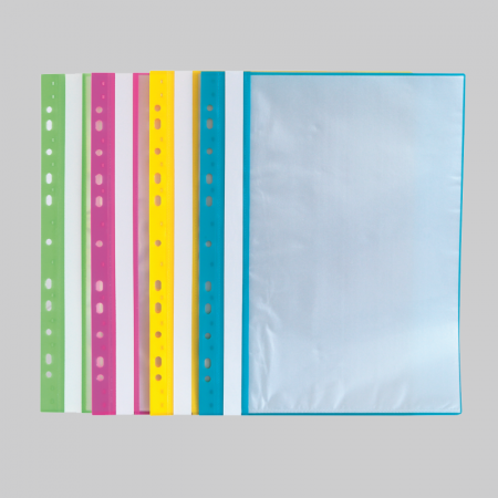 Articole Birotica - Dosar plastic cu 20 de file si 11 perforatii