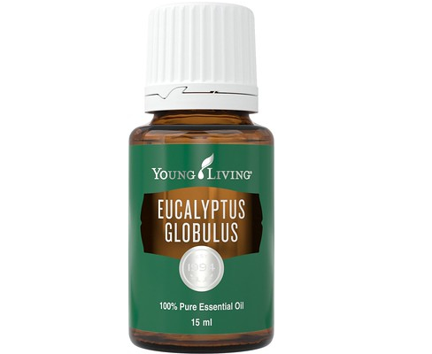 Relaxare - Ulei Esential EUCALYPTUS GLOBULUS 15 ml, Young Living