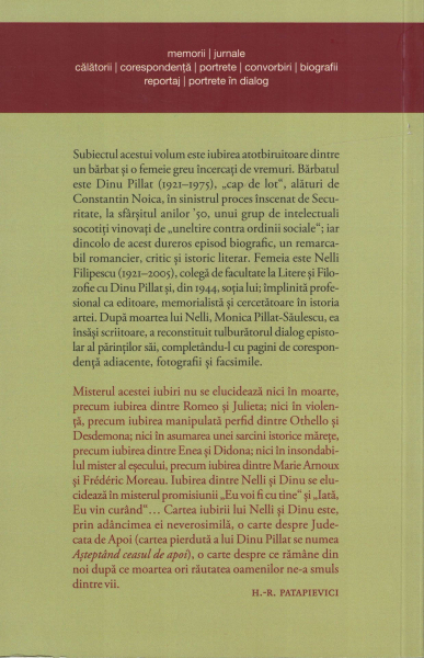 Biruinta unei iubiri - Dinu, Nelli Pillat [2]