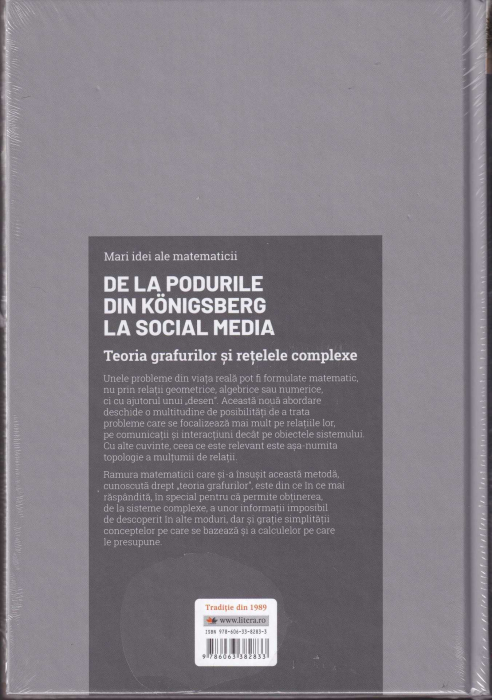 De la podurile din Konigsberg la social media [2]