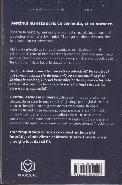 Destinul ascuns in numere [2]