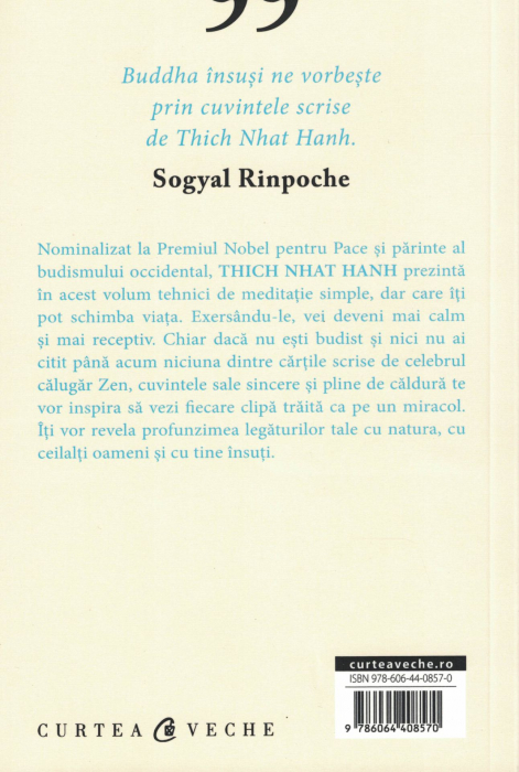 Esti aici. Descopera momentul prezent - Thich Nhat Hanh [2]