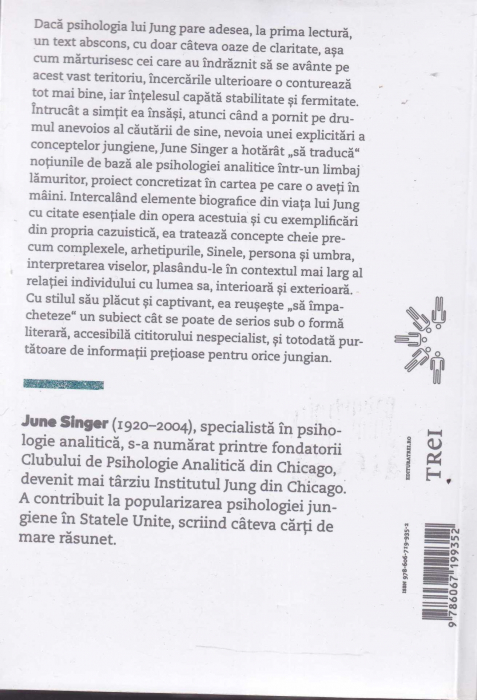 Hotarele sufletului. Practica psihologiei lui Jung [2]