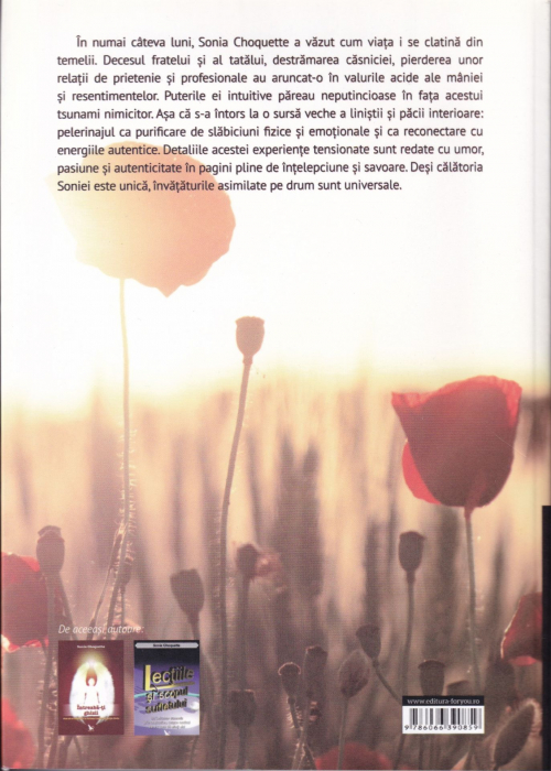 In drum spre casa [2]