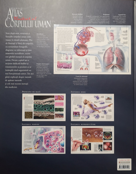 Marele Atlas ilustrat al corpului uman - Beverly McMillan [2]