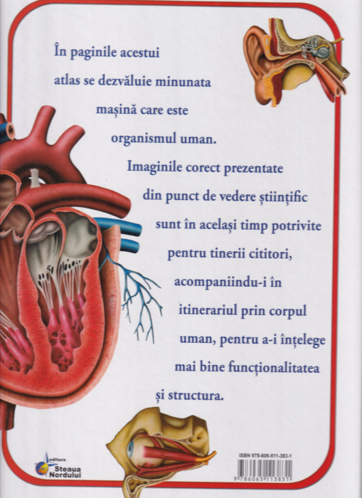 Minunile Corpului Uman. Atlas ilustrat [2]