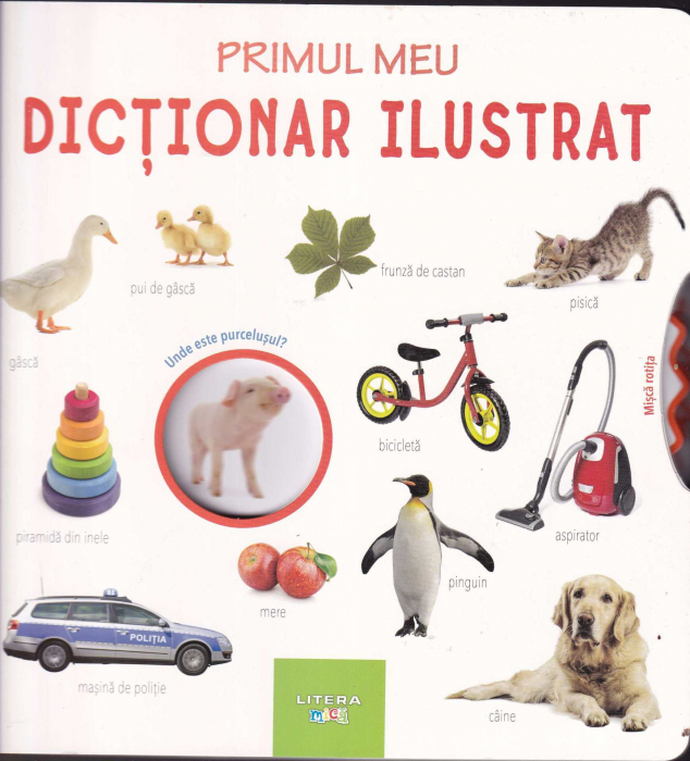 Primul meu dictionar ilustrat [1]