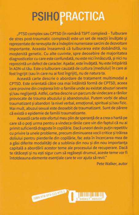 Recuperarea in urma traumei, abuzului sau neglijentei emotionale din copilarie [2]