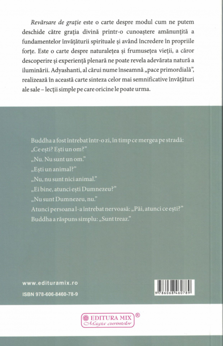 Revarsare de gratie - Adyashanti [2]