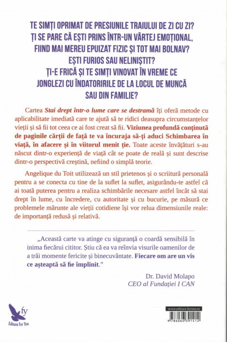 Stai drept intr-o lume care se destrama - Angelique Du Toit [2]