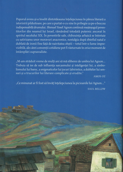 Talcul tuturor faptelor. Povestiri hasidice  - S.Y. Agnon [2]