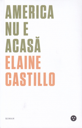 Literatura - America nu e acasa
