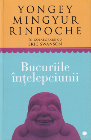 Spiritualitate - Bucuriile intelepciunii