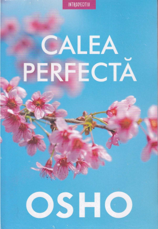 Spiritualitate - Calea perfecta
