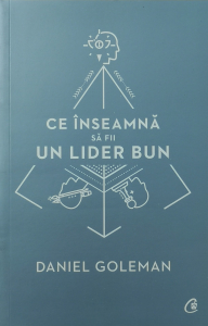 Ce inseamna sa fii un lider bun - Daniel Goleman [0]