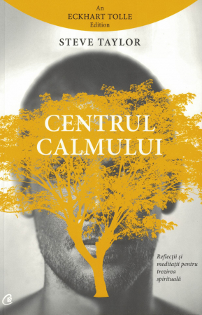 Spiritualitate - Centrul calmului. Reflectii si meditatii pentru trezirea spirituala - Steve Taylor