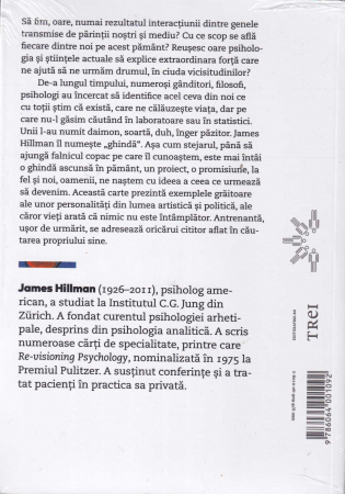 Codul sufletului. In cautarea caracterului si a vocatiei [1]