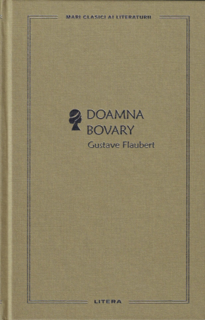 Literatura - Doamna Bovary