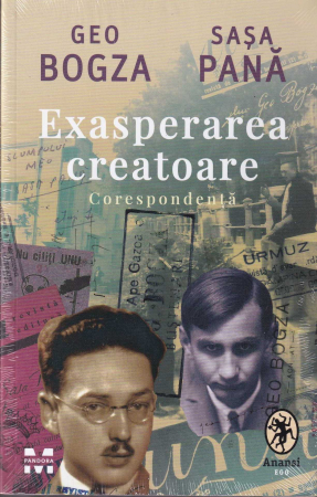 Diverse - Exasperarea creatoare. Corespondenta