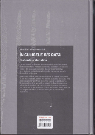 In culisele Big Data. O abordare statistica [1]