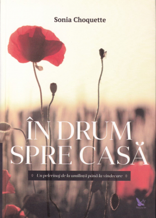 In drum spre casa [0]
