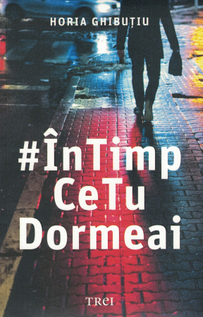 Literatura - In timp ce tu dormeai - Horia Ghibutiu