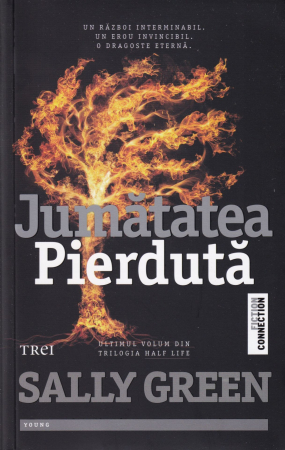 Literatura - Jumatatea pierduta