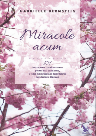 Spiritualitate - Miracole acum