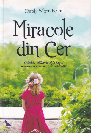 Spiritualitate - Miracole din cer