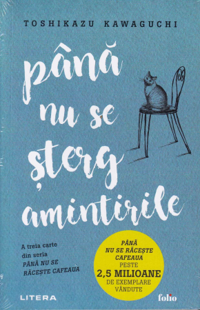 Literatura - Pana nu se sterg amintirile