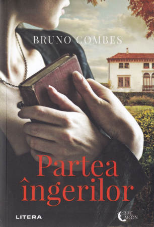 Literatura - Partea ingerilor