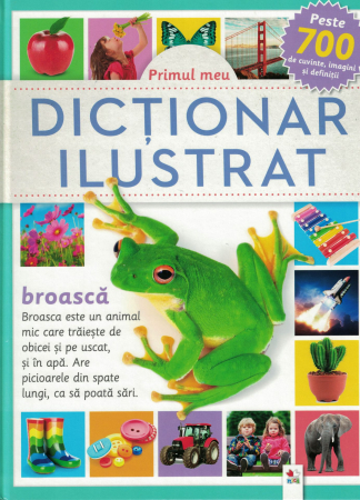 Carti pentru copii - Primul meu dictionar Ilustrat