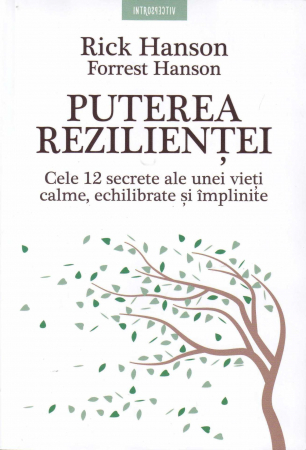 Dezvoltare personala - Puterea rezilientei