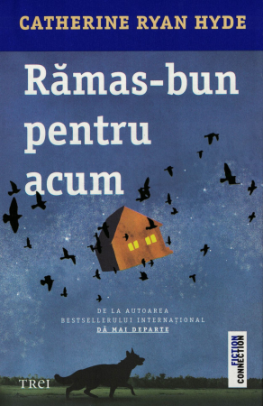 Literatura - Ramas bun pentru acum - Catherine Ryan Hyde