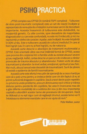 Recuperarea in urma traumei, abuzului sau neglijentei emotionale din copilarie [1]