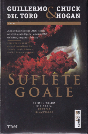 Literatura - Suflete goale