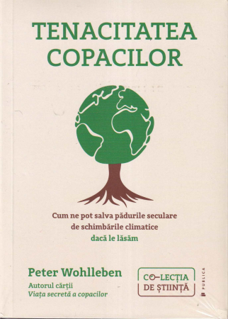 Stiinta - Tenacitatea copacilor
