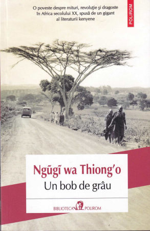 Literatura - Un bob de grau