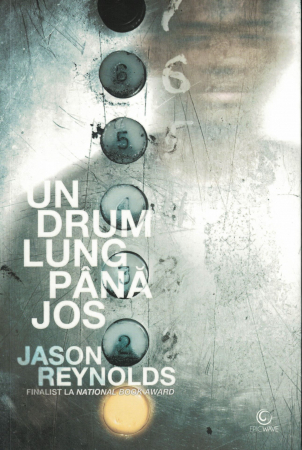 Diverse - Un drum lung pana jos - Jason Reynolds