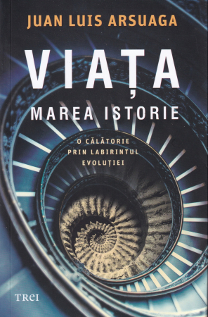 Istorie - Viata. Marea istorie