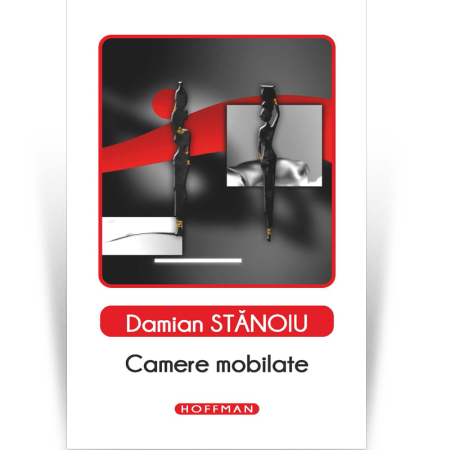 Jurnalul cartilor esentiale - Camere mobilate - Damian Stanoiu, Editia 2020