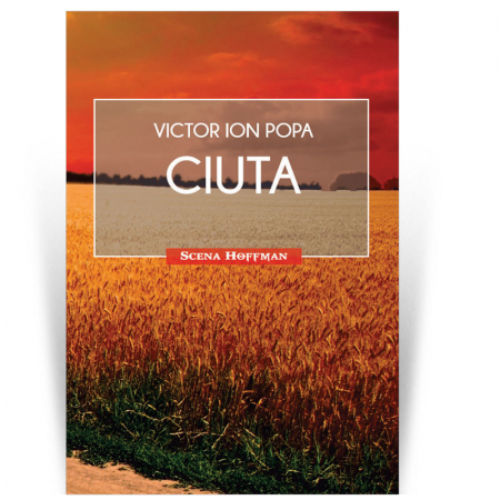 Scena Hoffman - Ciuta - Victor Ion Popa
