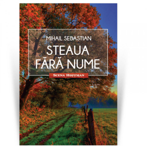 Scena Hoffman - Steaua fara nume - Mihail Sebastian