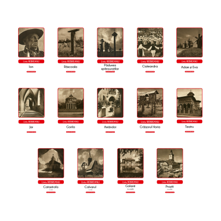 Pachete de carti - Pachet complet Liviu Rebreanu – Colecția de autor, 14 volume