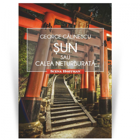 Scena Hoffman - Sun sau Calea neturburata - George Calinescu