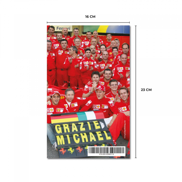 Michael Schumacher. Dincolo de maretie - James Allen [3]