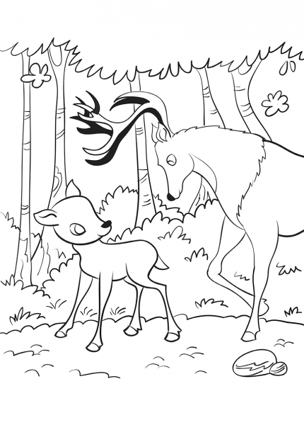 Bambi - carte de colorat [2]