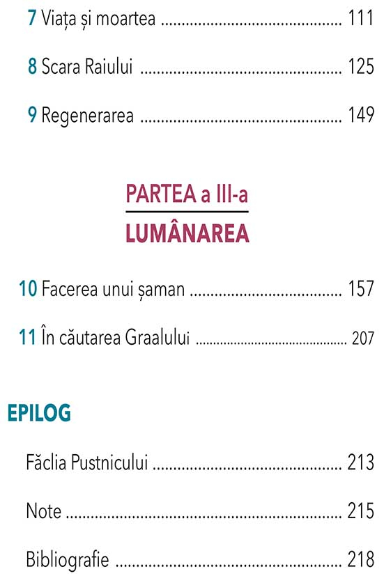 Cautarea Alchimica a campului unificat de R. E. Kretz [3]