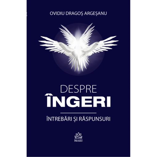 Despre Ingeri. Intrebari Si Raspunsuri  de Ovidiu-Dragos Argesanu [1]
